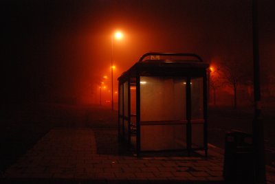 DSC_8224.JPG