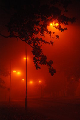 DSC_8226.JPG