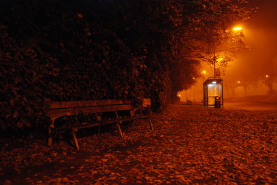 DSC_8242.JPG