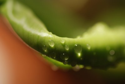 DSC_8682.JPG