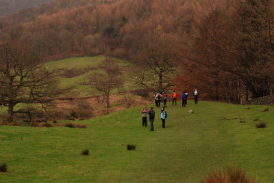 DSC_8438.JPG