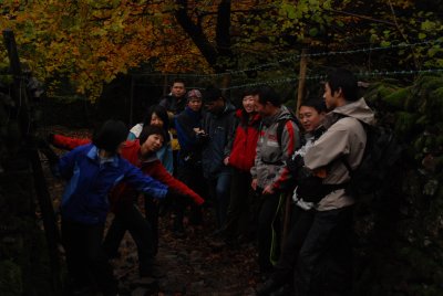 DSC_8574.JPG