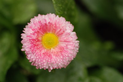 DSC_8701.JPG