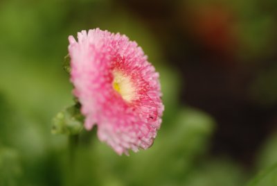 DSC_8704.JPG