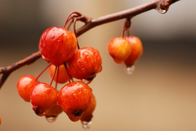 DSC_8707.JPG