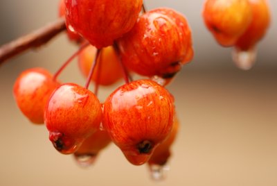DSC_8708.JPG