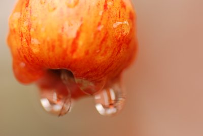 DSC_8714.JPG