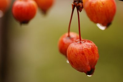 DSC_8720.JPG