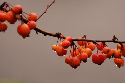 DSC_8723.JPG