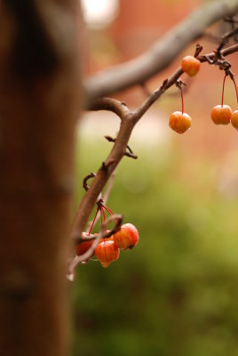 DSC_8758.JPG