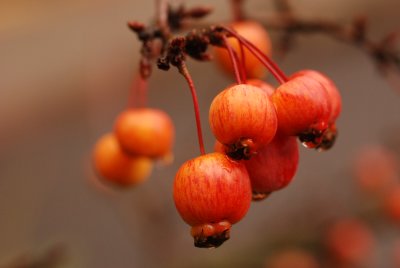 DSC_8802.JPG