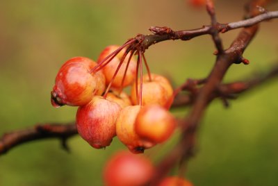 DSC_8815.JPG