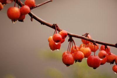 DSC_8854.JPG