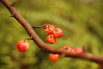 DSC_8856.JPG