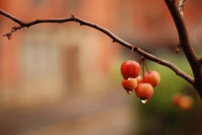 DSC_8863.JPG