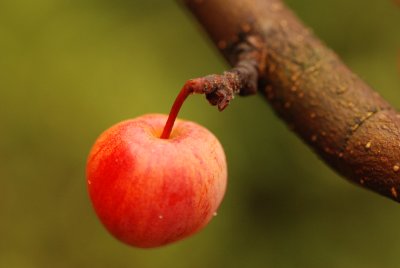 DSC_8889.JPG