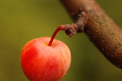DSC_8893.JPG