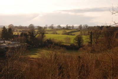DSC_9955.JPG