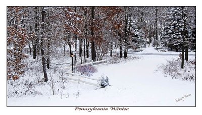 PA Winter-1.jpg