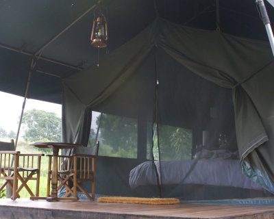 Tented Camp - Home sweet home - Masai Mara