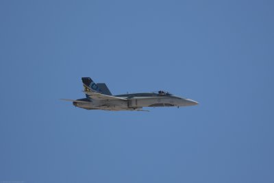 IMG_7873.jpg