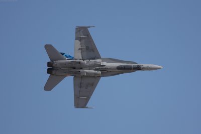 IMG_7886.jpg