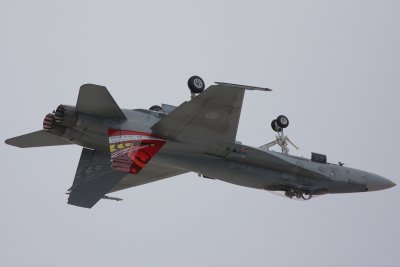 IMG_8372.jpg