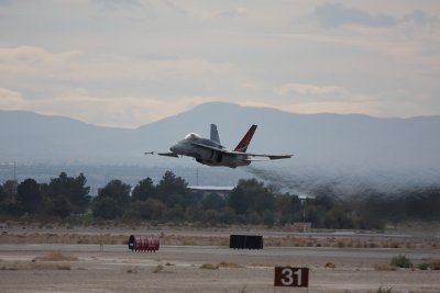 IMG_8413.jpg