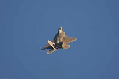 IMG_8235.jpg
