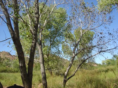 Palo Duro Canyon