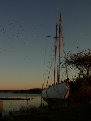 beached boat birds sunset 1