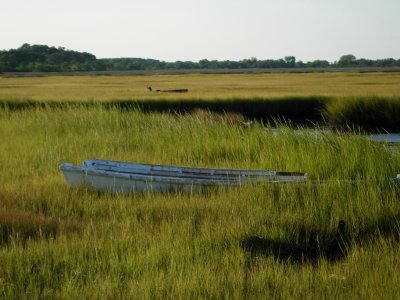 Dscn42870001messic point old row boat in grass 1.JPG