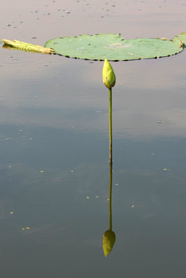 IMG_0002 copy.jpg