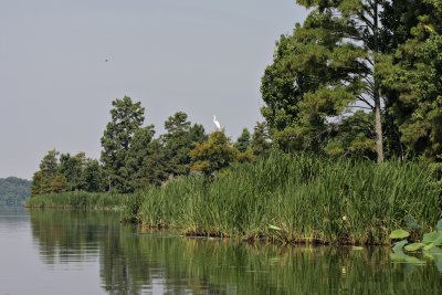 IMG_0031 copy.jpg