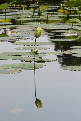 IMG_0065 copy.jpg