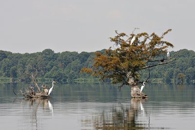 IMG_0153 copy.jpg