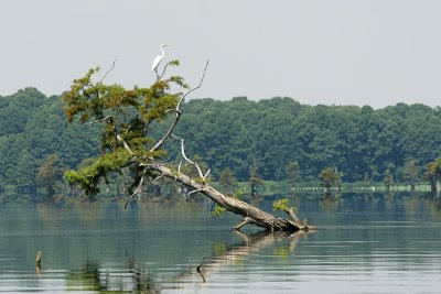 IMG_0165 copy.jpg