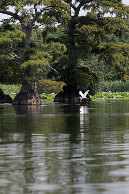 IMG_0201 copy.jpg