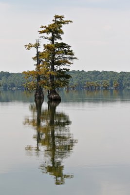 IMG_0305 copy.jpg