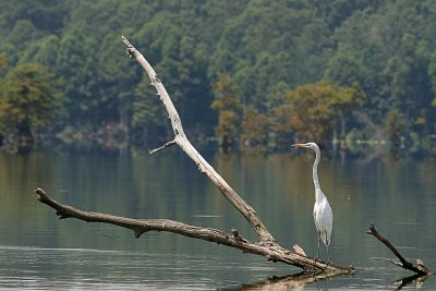 IMG_0308 copy.jpg