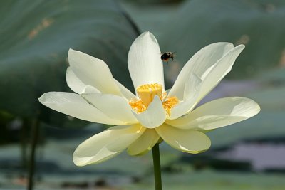 IMG_0340 copy.jpg