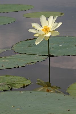 IMG_0366 copy.jpg