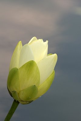 IMG_0392 copy.jpg