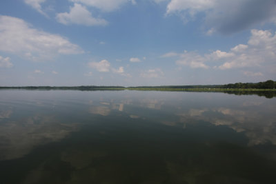IMG_0516 copy.jpg