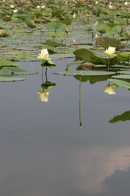 IMG_0550 copy.jpg