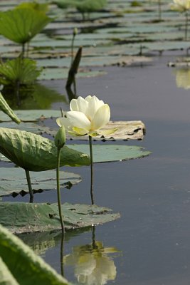 IMG_0556 copy.jpg
