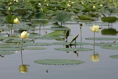 IMG_0691 copy.jpg