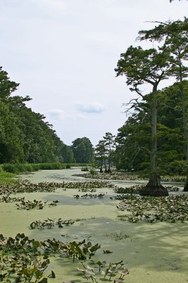 IMG_4913 copy.jpg