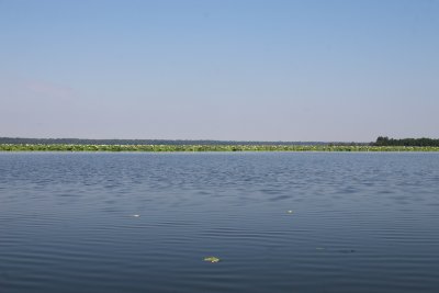 IMG_4916 copy.jpg