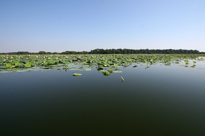 IMG_4919 copy.jpg
